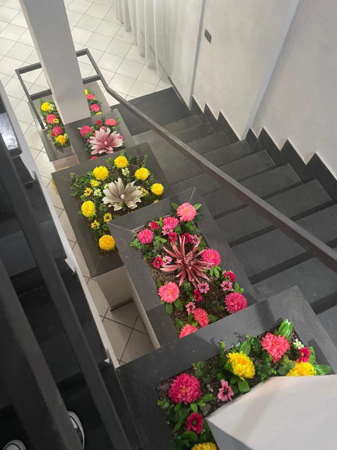 Enea Apartment
